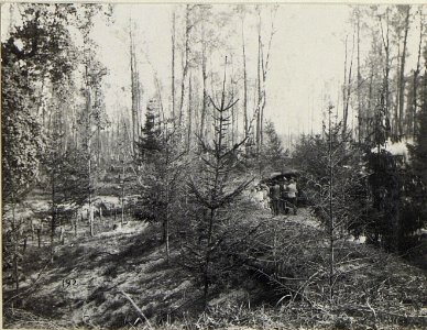 Östl.Galuzia, Inftr.Stellung. (K.u.11.KTD.) (BildID 15678115)