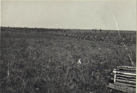 Östl.Galuzia, Drahtverhau. (K.u.11.KTD.) (BildID 15674815)