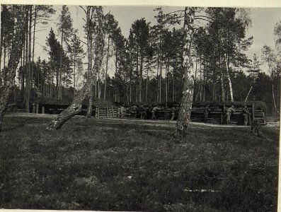 Östl.Galuzia, Inftr. Stellung. (K.u.11.KTD.) (BildID 15674934)