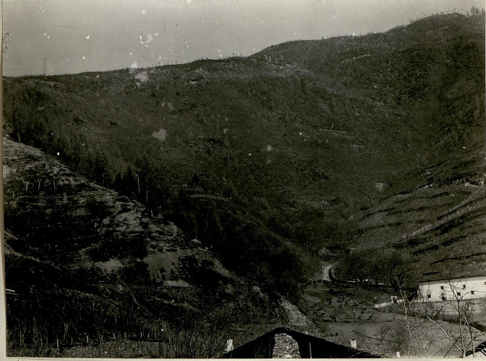 Übungsplatz des Sturmbataillons, Selva bei Levico (BildID 15622813)