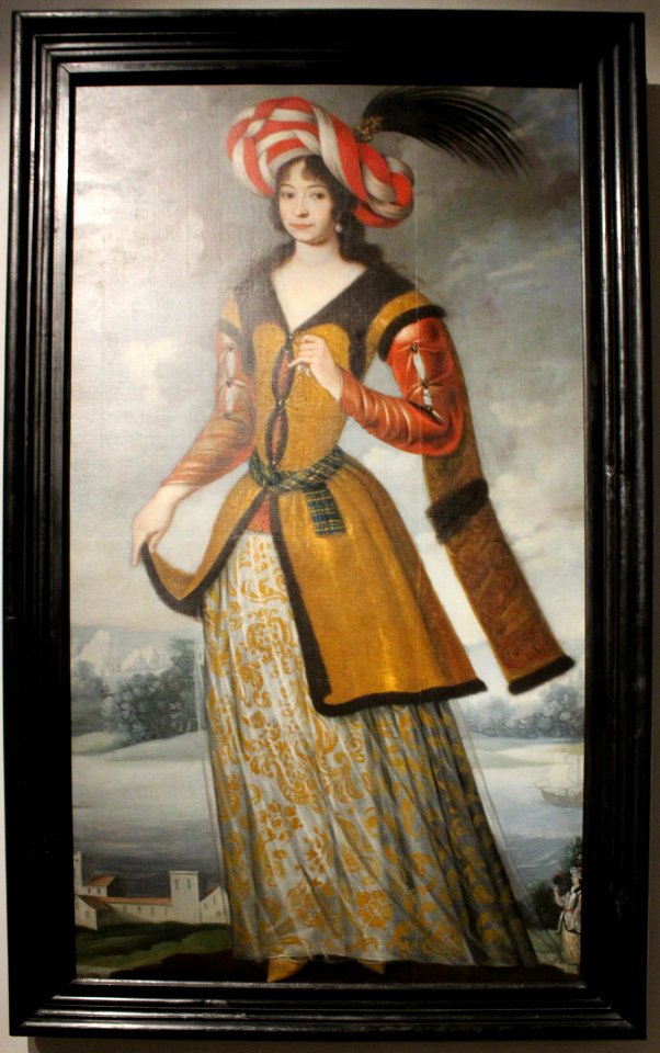 Černínové - Diplomaté, cestovatelé, sběratelé 4542u