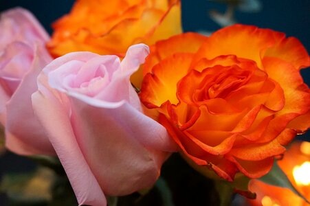 Romance floral bouquet photo