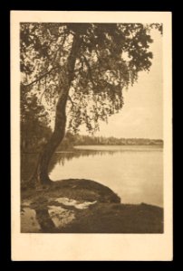 Śviciaź. Сьвіцязь (H. Poddębski, 1927) (3)