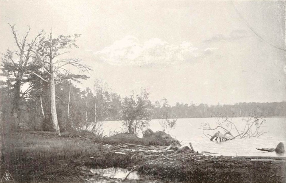 Śviciaź. Сьвіцязь (T. Boretti, 1900) (2)