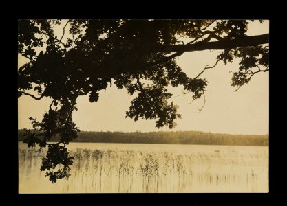 Śviciaź. Сьвіцязь (A. Visłocki, 1923)