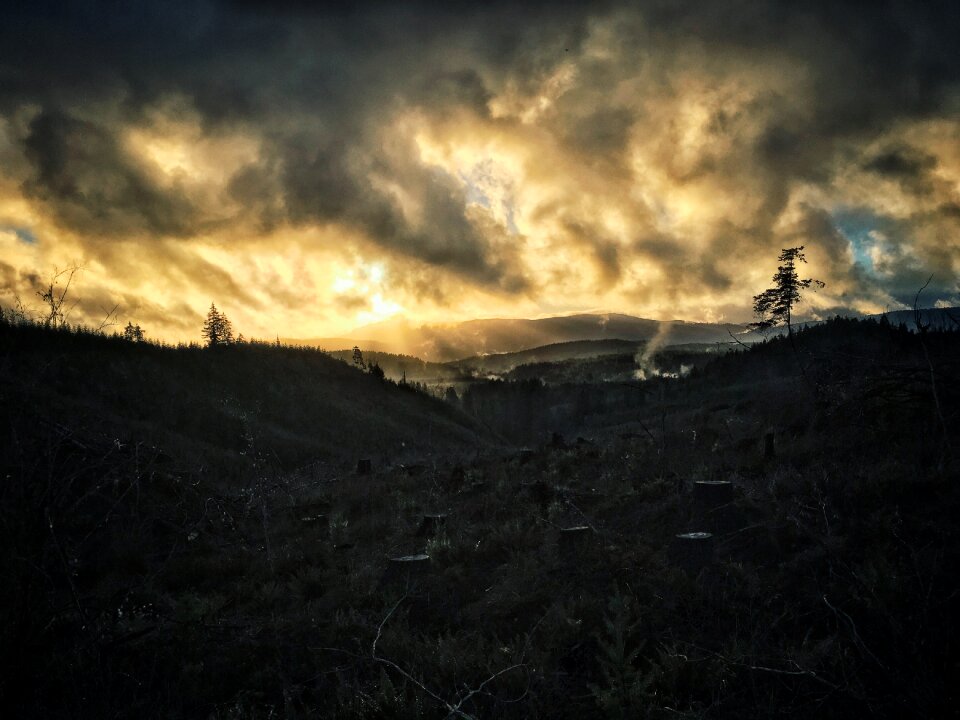 Forest mountain deforestation
