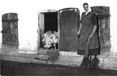 Ženska pred svinjaki