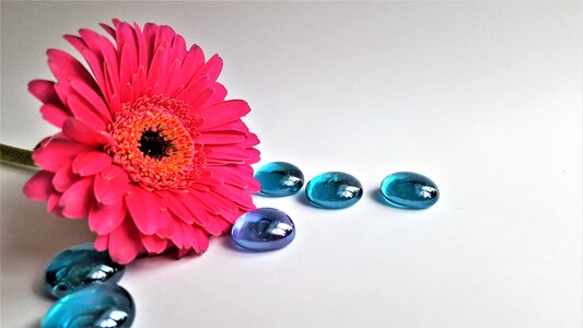 Kabošon glass blue