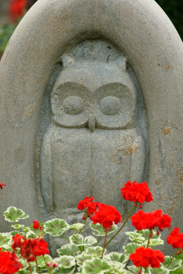 Cemetery art geranium