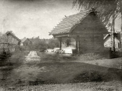 Деревня. Крутец август 1903