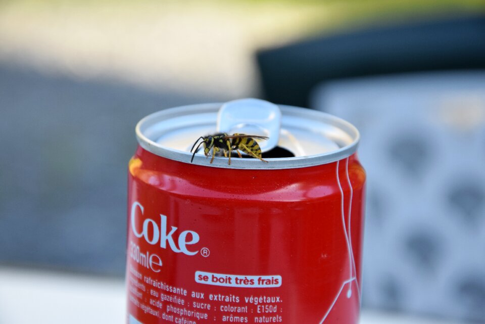 Coca drink coca-cola