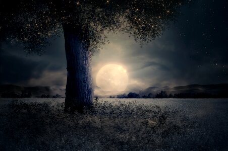 Fairy tale fantasy moon
