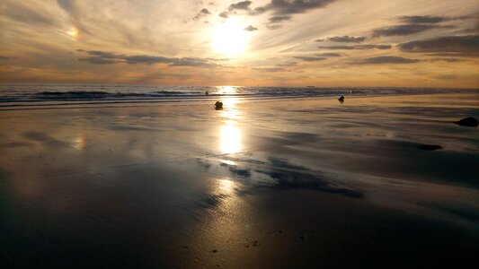 Body of water beach nature