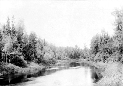Левый приток реки Вычегды - Северная Кельтма.1890.Юлий Шокальский photo