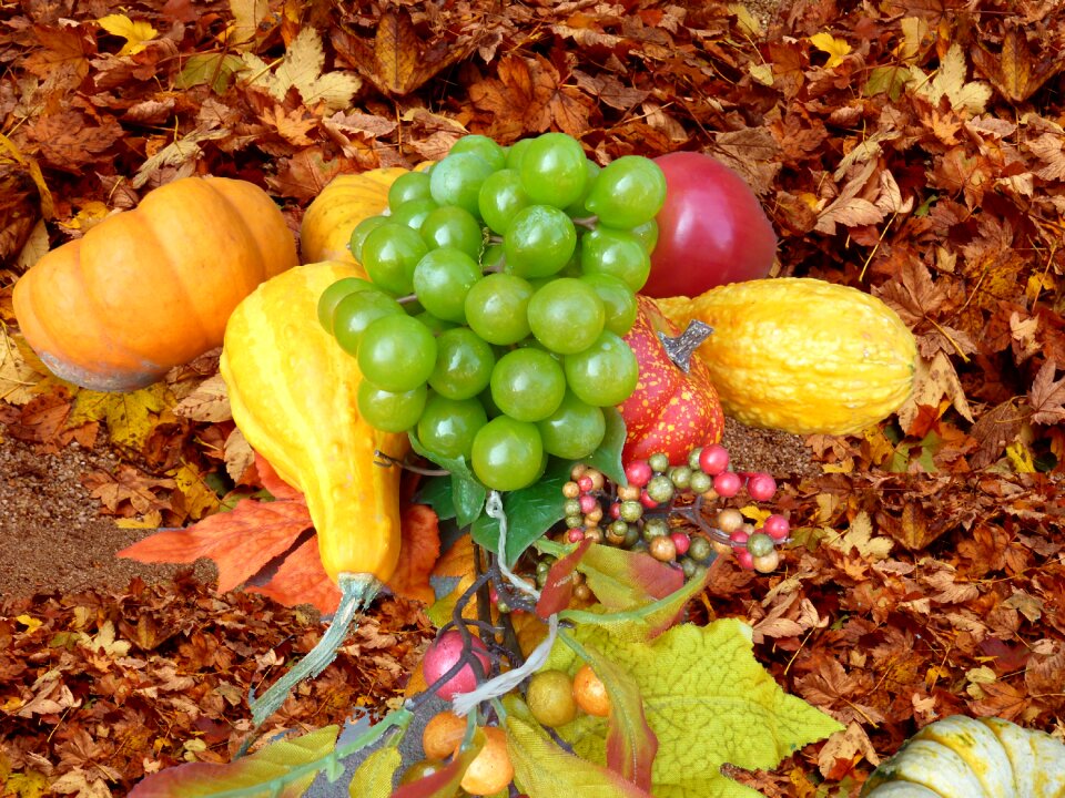 Fall leaves autumn autumn decoration