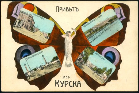 Привет из Курска. Бабочка. Почтовая открытка