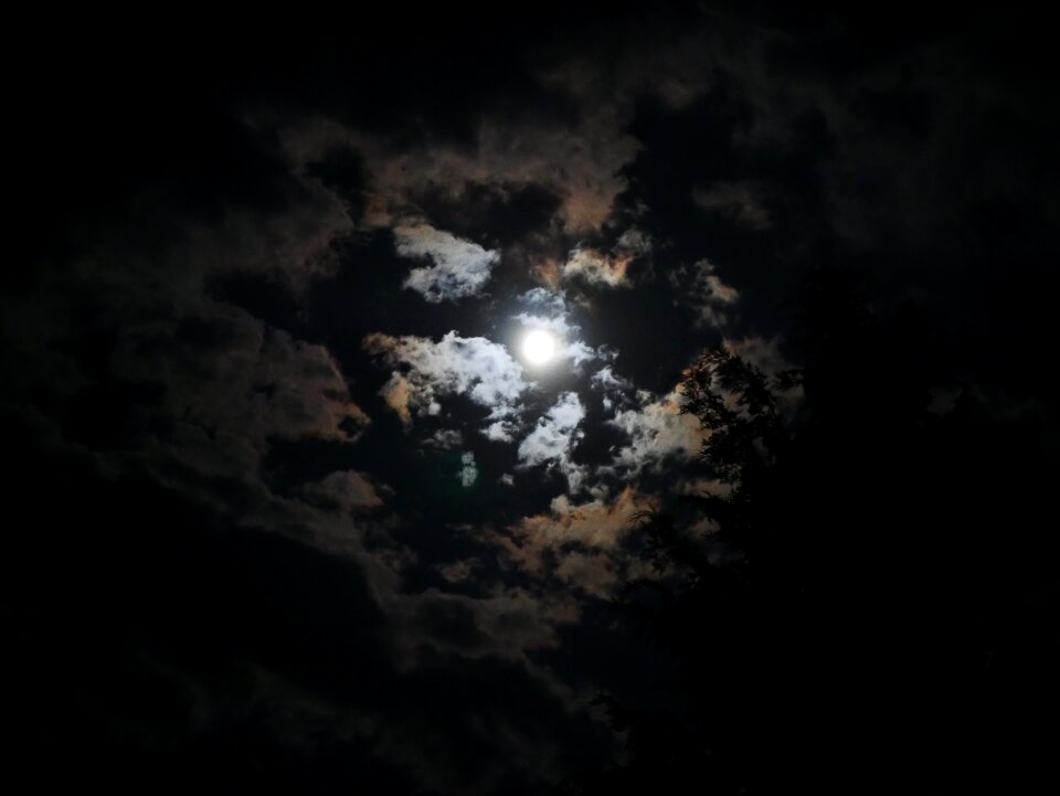 Dark night heaven