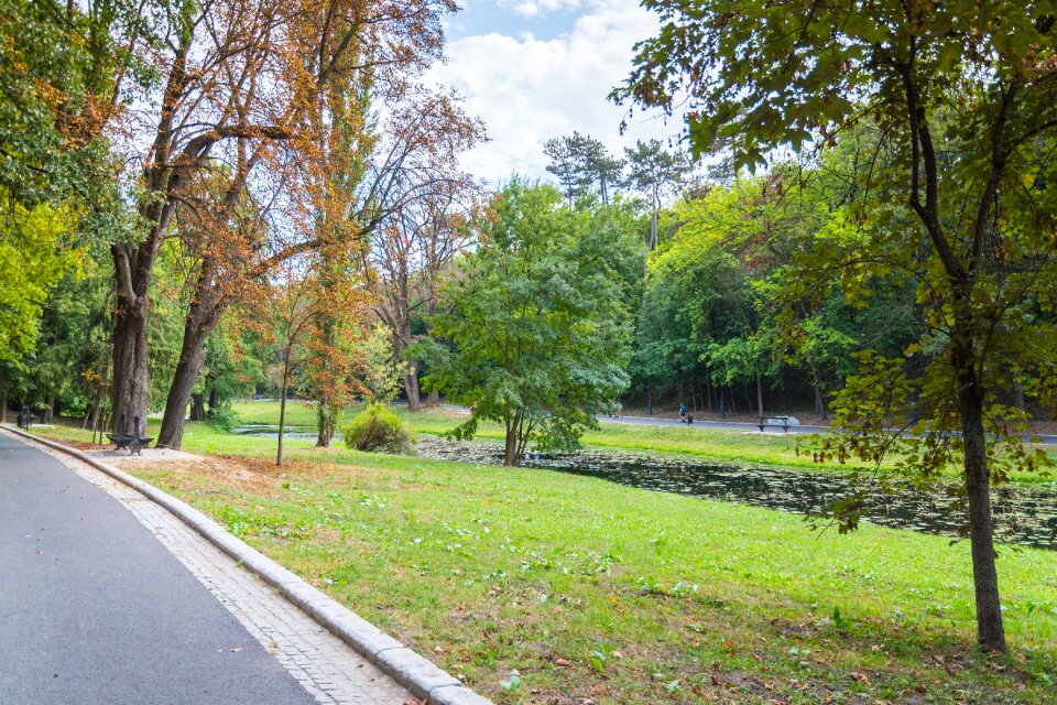 Nature craiova romania