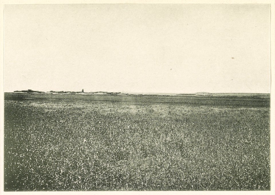 Ḥaurânlandschaft bei dem Dorf Chirbet el ghazâle, 106 km südlich von Damaskus. LCCN2014648725