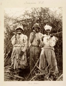 ‘Cane cutters in Jamaica’ RMG E9128