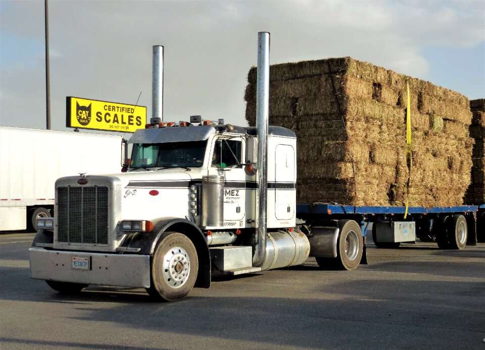 Trailer vehicle ship photo