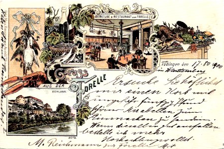 „Gruss aus der Forelle“ (AK 3078 Gebr. Metz 1900 TPk173)