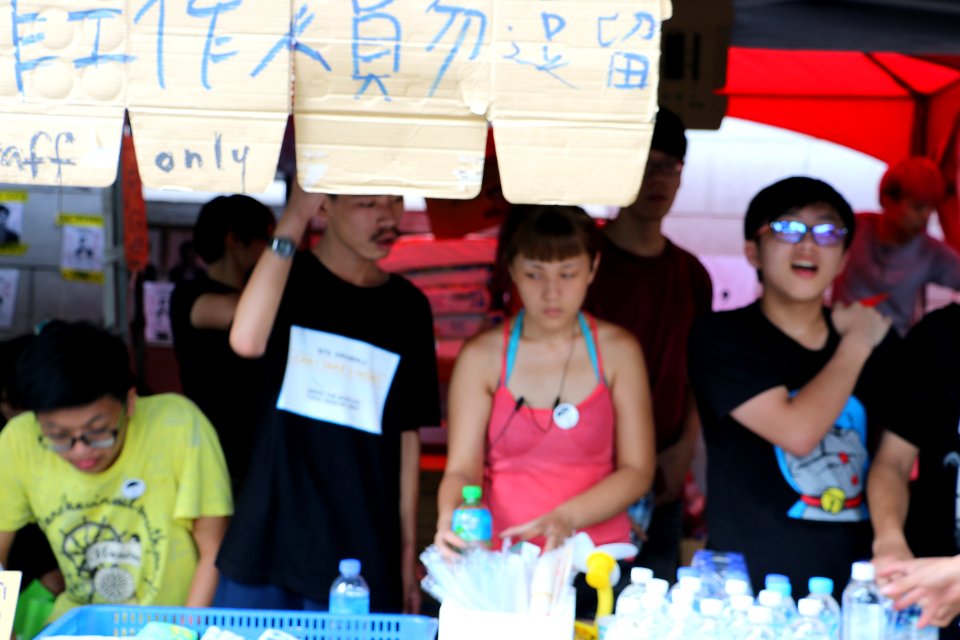 台灣數千民眾舉行反課綱抗議示威 04