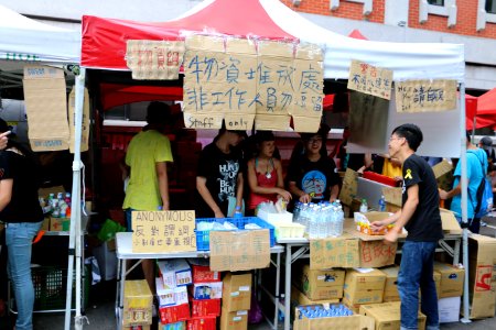 台灣數千民眾舉行反課綱抗議示威 05
