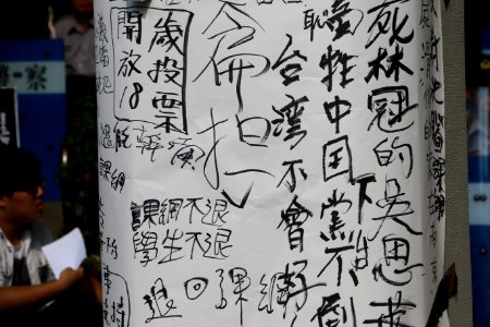 台灣數千民眾舉行反課綱抗議示威 10