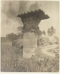 渠縣漢闕及石獸 48