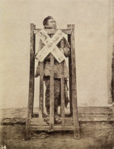 Thomson, John - Der Todeskäfig (Zeno Fotografie)