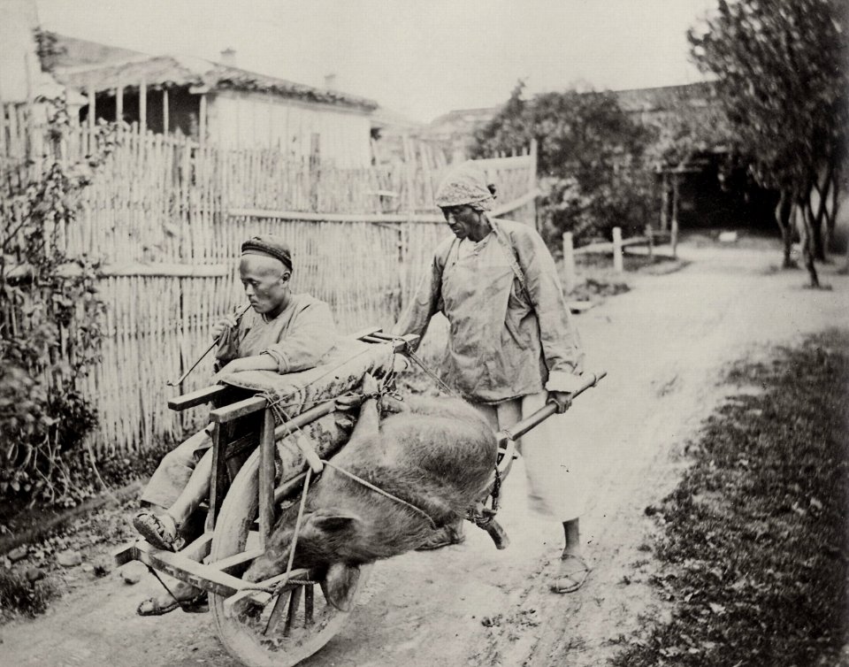 Thomson, John - Beförderung mit dem Schubkarren (Zeno Fotografie)