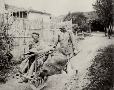 Thomson, John - Beförderung mit dem Schubkarren (Zeno Fotografie)