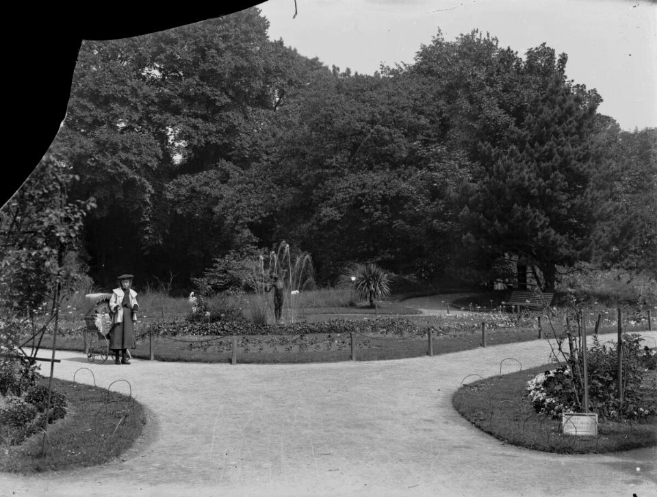 Thompsons Park, Cardiff (4641342)