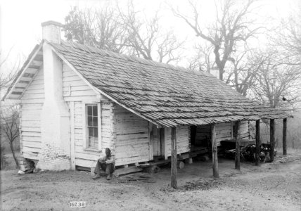Thornhill Plantation 05
