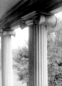 Thornhill Plantation 06
