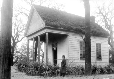 Thornhill Plantation 04