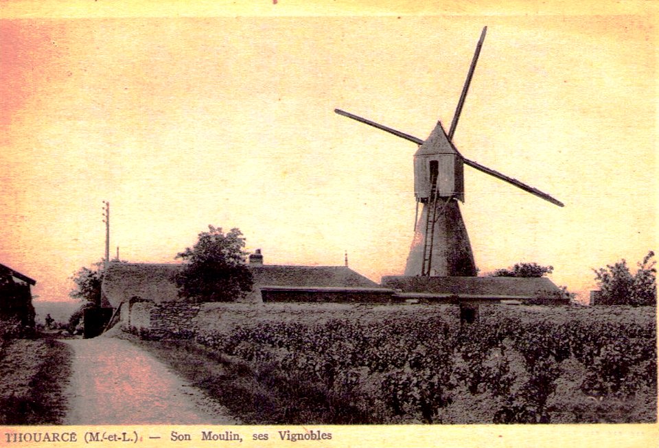 Thouarcé Moulin et vignoble de Bonnezeaux