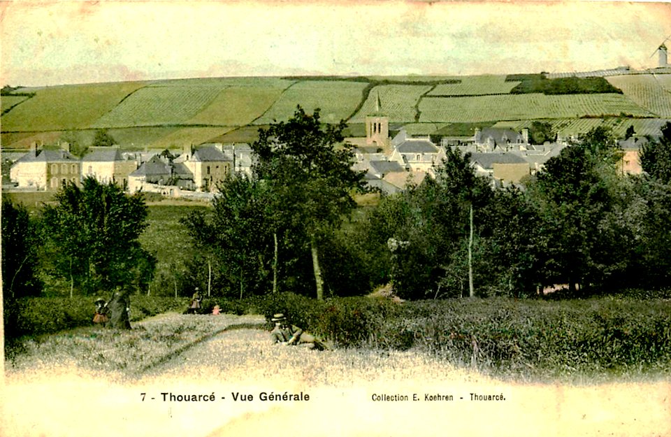 Thouarcé Vignoble de Bonnezeaux