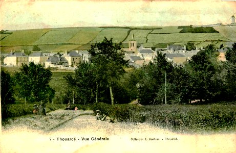 Thouarcé Vignoble de Bonnezeaux