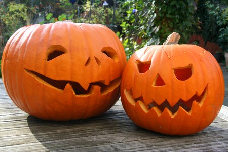 Thanksgiving autumn carve