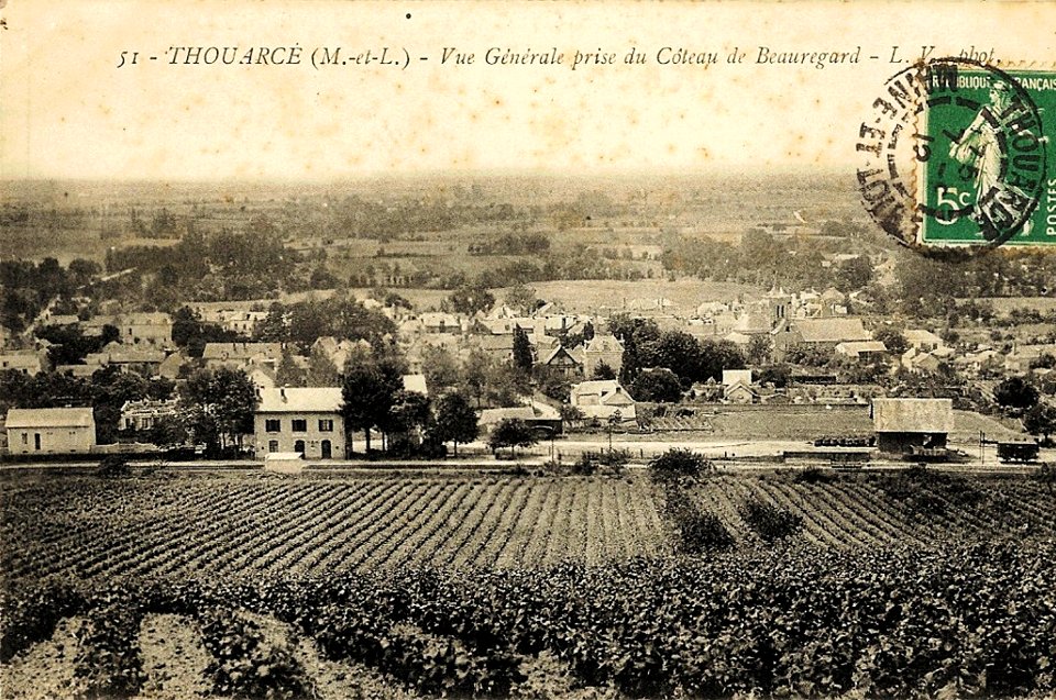 Thouarcé Bonnezeaux coteau de Beauregard