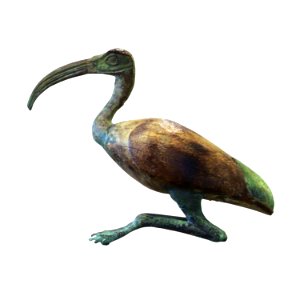 Thot ibis-A 2004-93-P8050314-white