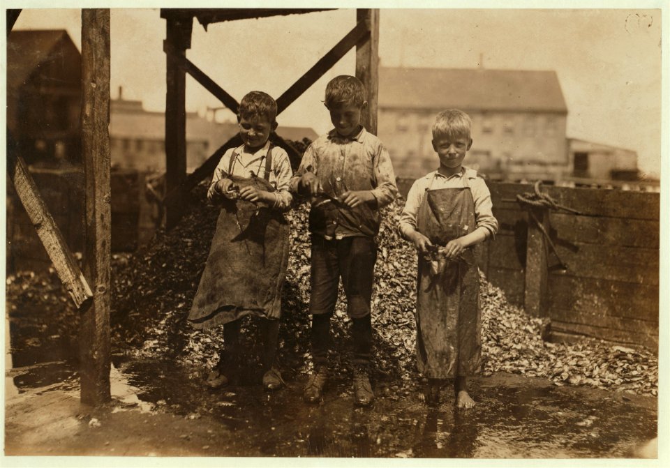 Three cutters in Factory -7, Seacoast Canning Co., Eastport, Me. They work regularly whenever there are fish. (Note the knives they use.) Back of them and under foot is refuse. On the right LOC cph.3b37903