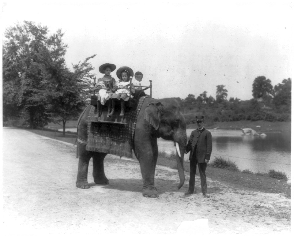 Three children riding an elephant at New York Zoological Park LCCN2011661006