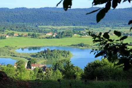 Jura field nature