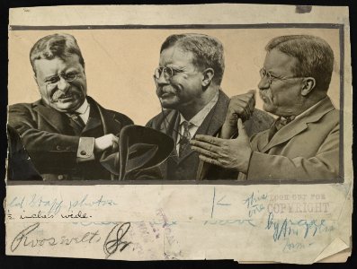 Three faces of Theodore Roosevelt LCCN2013650920