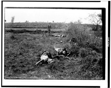 Three dead insurgents lying on battlefield during the Philippine insurrection LCCN90712689