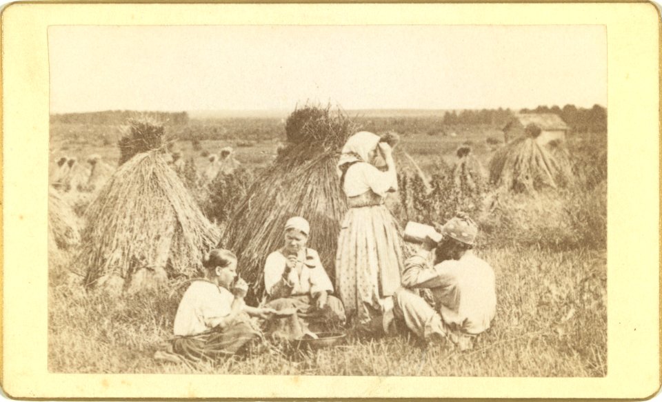 Three female and one male peasant eating a meal in a wheat field LCCN99615670
