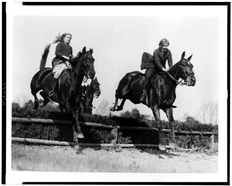 Three girls on horseback as their horses jump a hedge LCCN92522654
